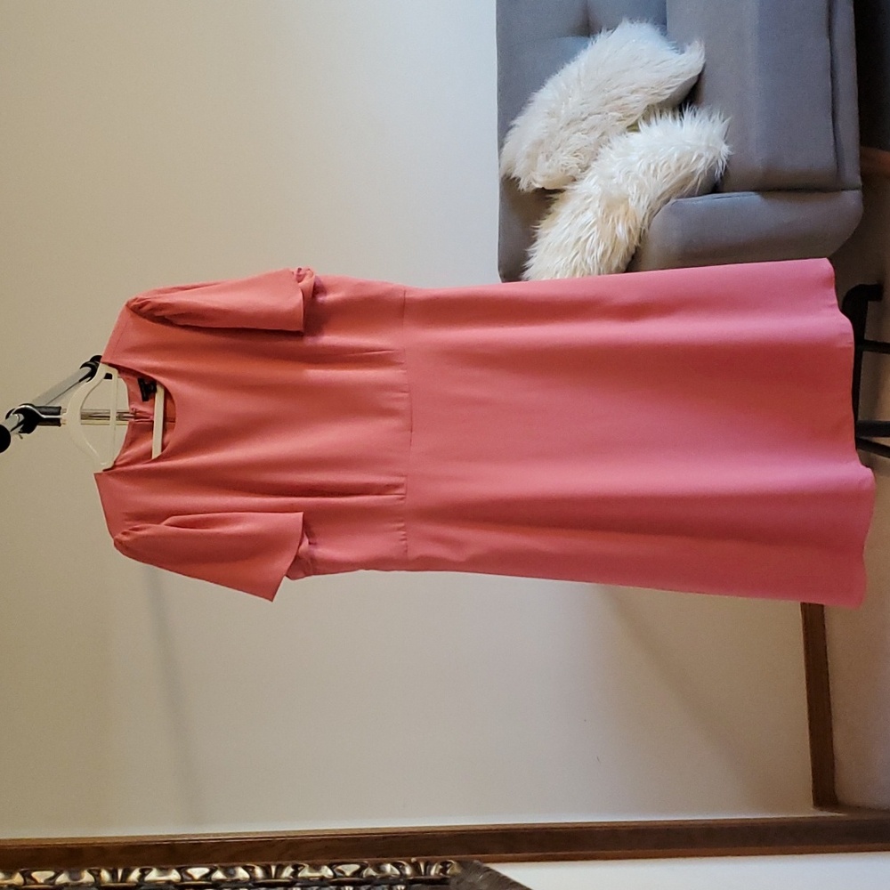 Ann Taylor Pink Dress